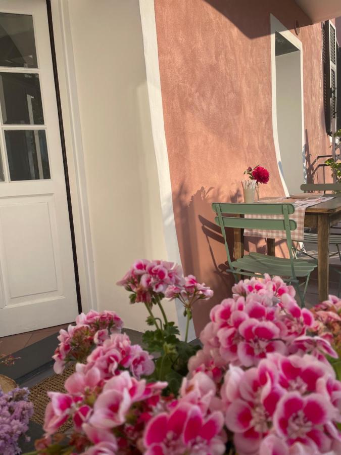 Ti Vengo A Cercare Bed & Breakfast Castellaro  Eksteriør bilde
